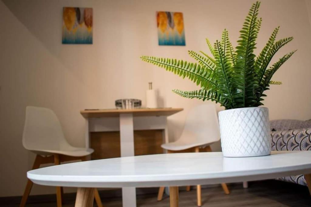 Studio Charmant Confortable Tv Centre Ville Лувие Екстериор снимка